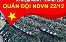 Nguồn gốc ra đời Ngày truyền thống của Hội Cựu chiến binh   