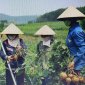 CÔNG TÁC DÂN VẬN TRONG XÂY DỰNG NÔNG THÔN MỚI VÀ GIẢM NGHÈO BỀN VỮNG
